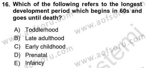 Psychology Dersi 2022 - 2023 Yılı Yaz Okulu Sınav Soruları 16. Soru