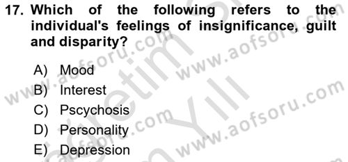Psychology Dersi 2022 - 2023 Yılı Yaz Okulu Sınav Soruları 17. Soru