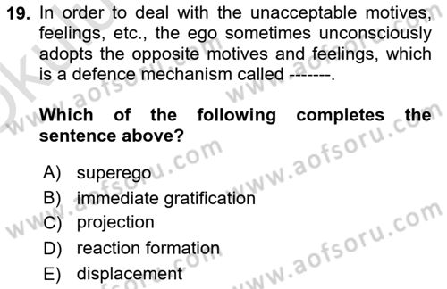 Psychology Dersi 2022 - 2023 Yılı Yaz Okulu Sınav Soruları 19. Soru