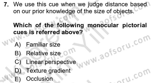 Psychology Dersi 2022 - 2023 Yılı Yaz Okulu Sınav Soruları 7. Soru