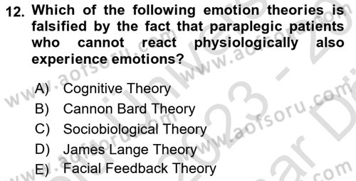 Psychology Dersi 2023 - 2024 Yılı (Vize) Ara Sınav Soruları 12. Soru