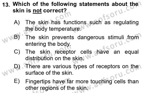 Psychology Dersi 2023 - 2024 Yılı (Vize) Ara Sınav Soruları 13. Soru