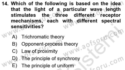 Psychology Dersi 2023 - 2024 Yılı (Vize) Ara Sınav Soruları 14. Soru