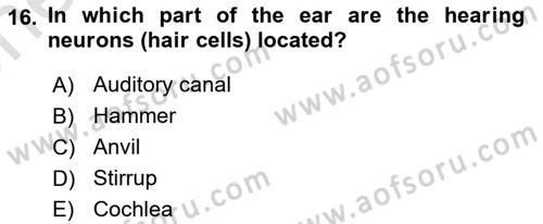 Psychology Dersi 2023 - 2024 Yılı (Vize) Ara Sınav Soruları 16. Soru