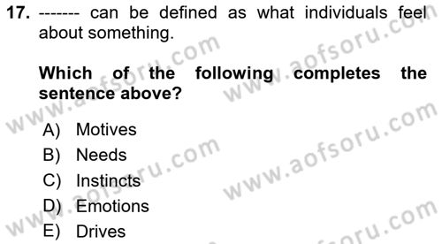 Psychology Dersi 2023 - 2024 Yılı (Vize) Ara Sınav Soruları 17. Soru