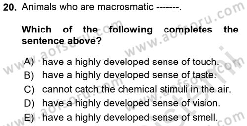 Psychology Dersi 2023 - 2024 Yılı (Vize) Ara Sınav Soruları 20. Soru