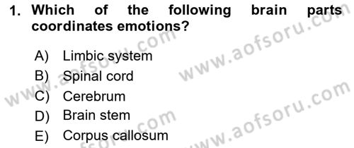 Psychology Dersi 2023 - 2024 Yılı (Final) Dönem Sonu Sınav Soruları 1. Soru