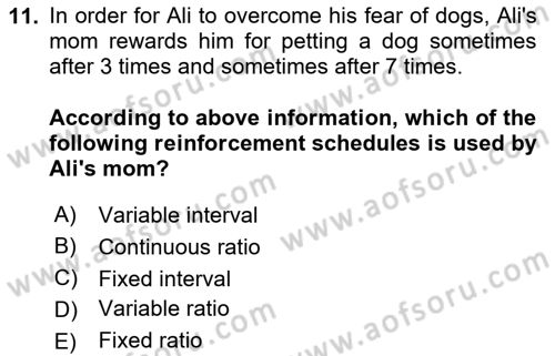 Psychology Dersi 2023 - 2024 Yılı (Final) Dönem Sonu Sınav Soruları 11. Soru