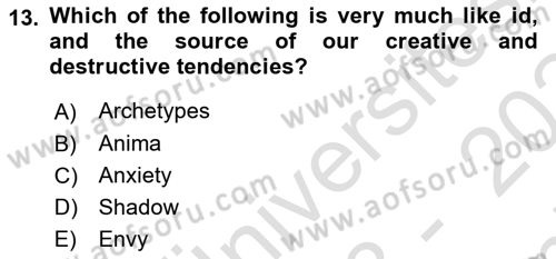 Psychology Dersi 2023 - 2024 Yılı (Final) Dönem Sonu Sınav Soruları 13. Soru