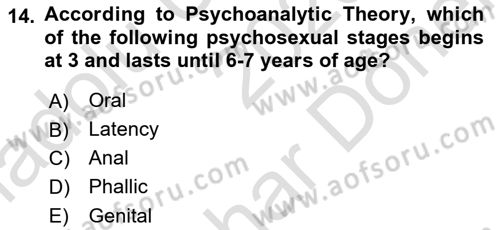 Psychology Dersi 2023 - 2024 Yılı (Final) Dönem Sonu Sınav Soruları 14. Soru