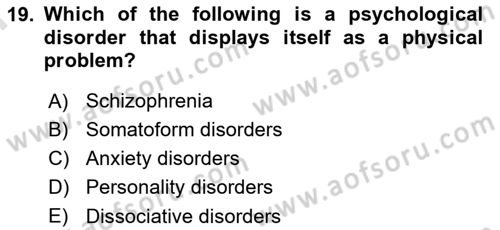 Psychology Dersi 2023 - 2024 Yılı (Final) Dönem Sonu Sınav Soruları 19. Soru
