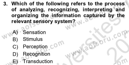 Psychology Dersi 2023 - 2024 Yılı (Final) Dönem Sonu Sınav Soruları 3. Soru
