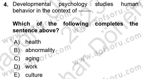 Psychology Dersi 2023 - 2024 Yılı (Final) Dönem Sonu Sınav Soruları 4. Soru