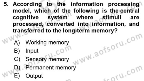 Psychology Dersi 2023 - 2024 Yılı (Final) Dönem Sonu Sınav Soruları 5. Soru