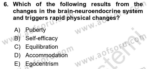 Psychology Dersi 2023 - 2024 Yılı (Final) Dönem Sonu Sınav Soruları 6. Soru