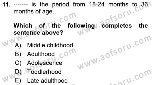 Psychology Dersi 2023 - 2024 Yılı Yaz Okulu Sınav Soruları 11. Soru