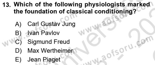 Psychology Dersi 2023 - 2024 Yılı Yaz Okulu Sınav Soruları 13. Soru
