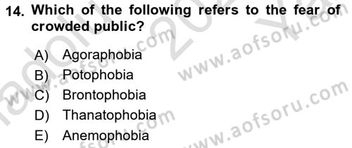 Psychology Dersi 2023 - 2024 Yılı Yaz Okulu Sınav Soruları 14. Soru