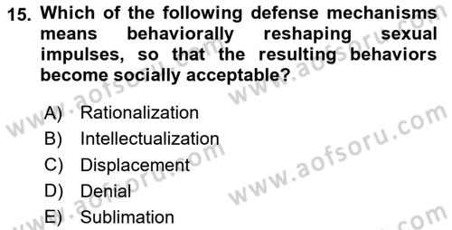 Psychology Dersi 2023 - 2024 Yılı Yaz Okulu Sınav Soruları 15. Soru