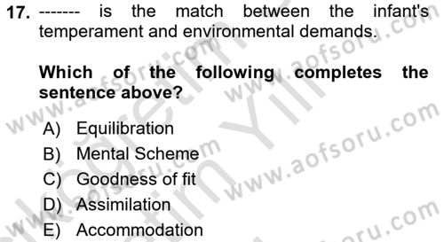 Psychology Dersi 2023 - 2024 Yılı Yaz Okulu Sınav Soruları 17. Soru