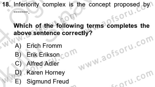 Psychology Dersi 2023 - 2024 Yılı Yaz Okulu Sınav Soruları 18. Soru