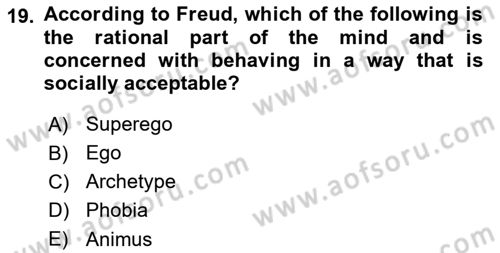 Psychology Dersi 2023 - 2024 Yılı Yaz Okulu Sınav Soruları 19. Soru