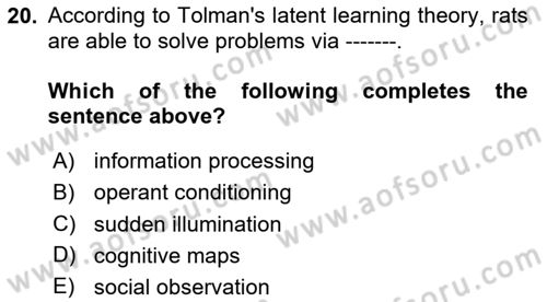 Psychology Dersi 2023 - 2024 Yılı Yaz Okulu Sınav Soruları 20. Soru