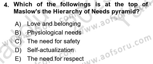 Psychology Dersi 2023 - 2024 Yılı Yaz Okulu Sınav Soruları 4. Soru