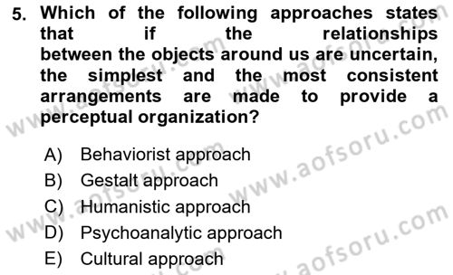 Psychology Dersi 2023 - 2024 Yılı Yaz Okulu Sınav Soruları 5. Soru