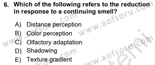 Psychology Dersi 2023 - 2024 Yılı Yaz Okulu Sınav Soruları 6. Soru