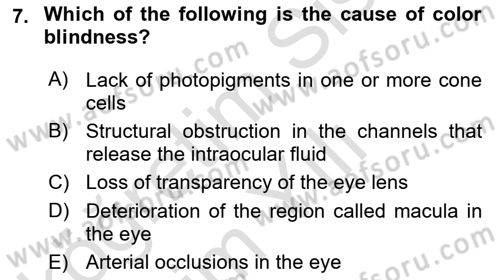 Psychology Dersi 2023 - 2024 Yılı Yaz Okulu Sınav Soruları 7. Soru