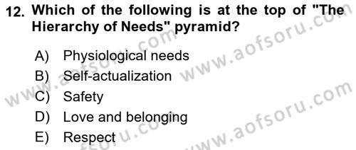 Psychology Dersi 2024 - 2025 Yılı (Vize) Ara Sınav Soruları 12. Soru