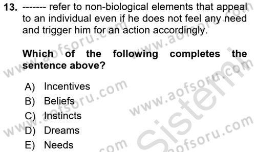 Psychology Dersi 2024 - 2025 Yılı (Vize) Ara Sınav Soruları 13. Soru