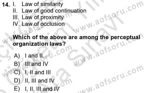 Psychology Dersi 2024 - 2025 Yılı (Vize) Ara Sınav Soruları 14. Soru