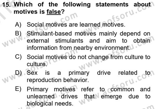 Psychology Dersi 2024 - 2025 Yılı (Vize) Ara Sınav Soruları 15. Soru