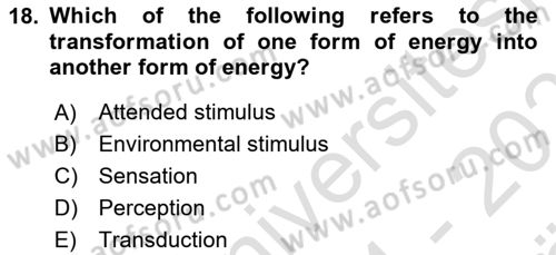 Psychology Dersi 2024 - 2025 Yılı (Vize) Ara Sınav Soruları 18. Soru