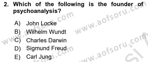 Psychology Dersi 2024 - 2025 Yılı (Vize) Ara Sınav Soruları 2. Soru