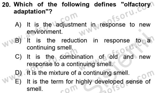 Psychology Dersi 2024 - 2025 Yılı (Vize) Ara Sınav Soruları 20. Soru