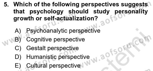 Psychology Dersi 2024 - 2025 Yılı (Vize) Ara Sınav Soruları 5. Soru