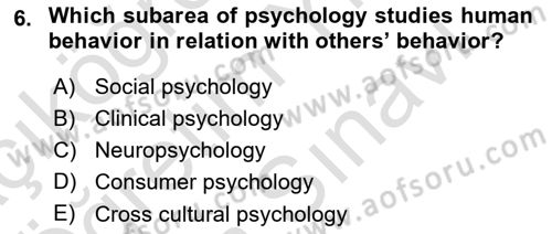 Psychology Dersi 2024 - 2025 Yılı (Vize) Ara Sınav Soruları 6. Soru