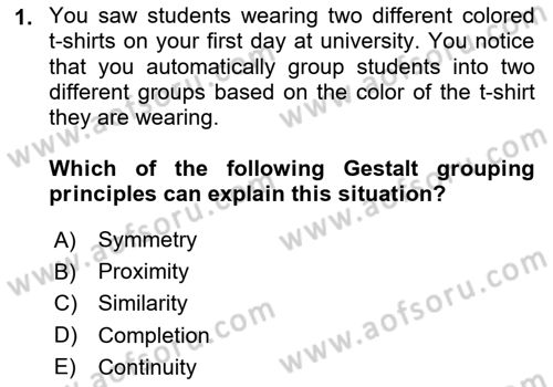 Psychology Dersi 2024 - 2025 Yılı (Final) Dönem Sonu Sınav Soruları 1. Soru