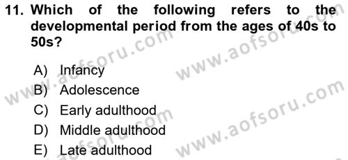 Psychology Dersi 2024 - 2025 Yılı (Final) Dönem Sonu Sınav Soruları 11. Soru