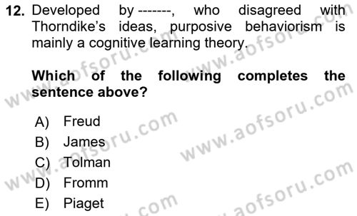 Psychology Dersi 2024 - 2025 Yılı (Final) Dönem Sonu Sınav Soruları 12. Soru