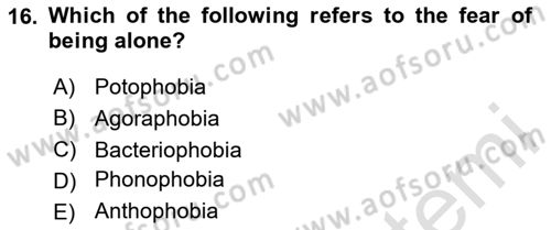 Psychology Dersi 2024 - 2025 Yılı (Final) Dönem Sonu Sınav Soruları 16. Soru