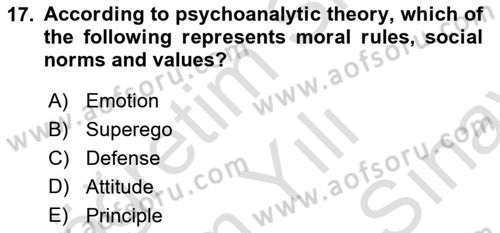 Psychology Dersi 2024 - 2025 Yılı (Final) Dönem Sonu Sınav Soruları 17. Soru