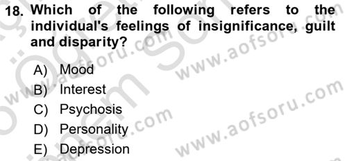 Psychology Dersi 2024 - 2025 Yılı (Final) Dönem Sonu Sınav Soruları 18. Soru