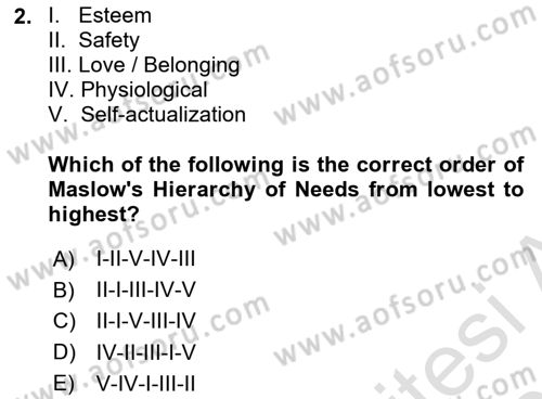 Psychology Dersi 2024 - 2025 Yılı (Final) Dönem Sonu Sınav Soruları 2. Soru
