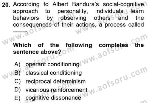 Psychology Dersi 2024 - 2025 Yılı (Final) Dönem Sonu Sınav Soruları 20. Soru