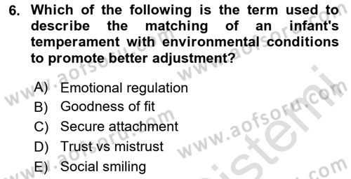 Psychology Dersi 2024 - 2025 Yılı (Final) Dönem Sonu Sınav Soruları 6. Soru