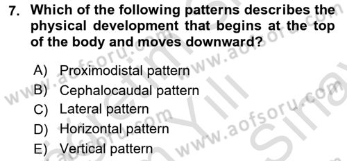 Psychology Dersi 2024 - 2025 Yılı (Final) Dönem Sonu Sınav Soruları 7. Soru